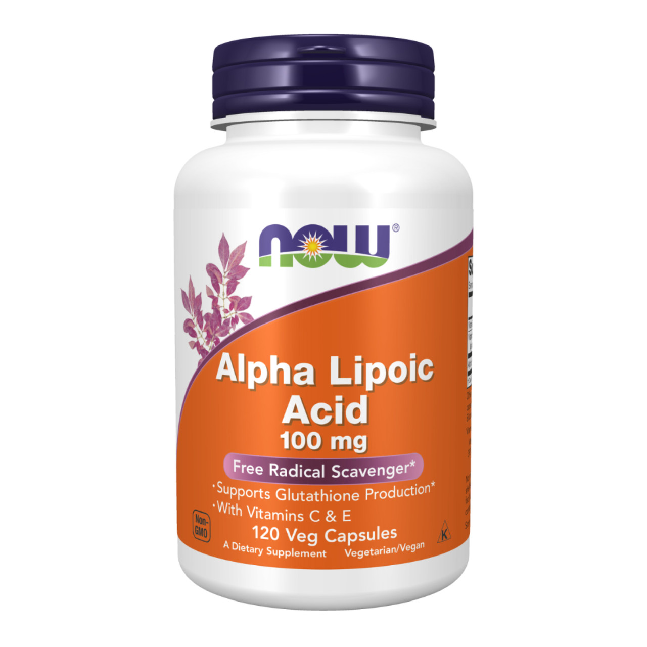 Alpha Lipoic Acid 100mg - 120 vcaps, фото 1