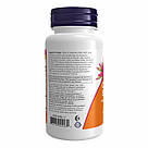 Co-Enzyme B-Complex - 60 vcaps, фото 4