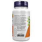 Andrographis Extract 400mg - 90 vcaps, фото 4