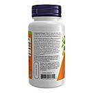Green Tea Extract 400mg - 100 vcaps, фото 4
