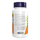 Hawthorn Extract 300mg - 90 vcaps, фото 4