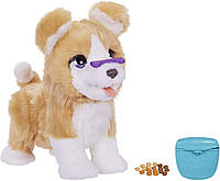 Інтерактивна іграшка FurReal Friends Hasbro цуценя хаскі Лексі собачка Рікі