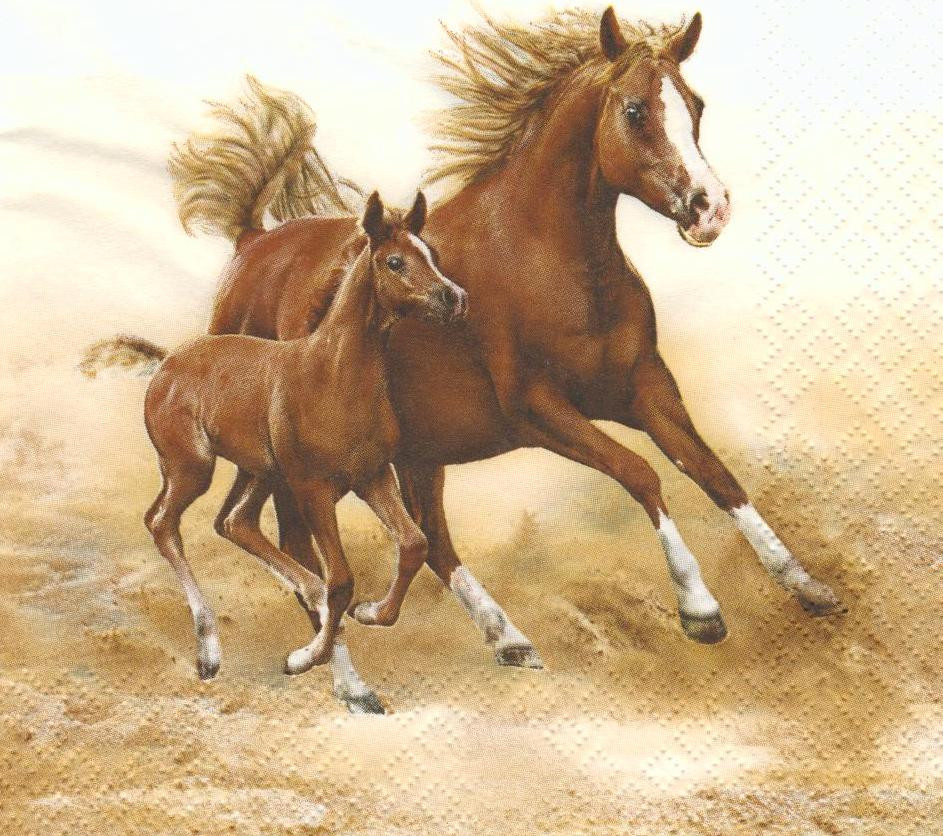 Салфетка декупажная Лошадь с жеребёнком 6094 - фото 1 - id-p366699081