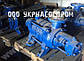 Насос ЦНСг 105-196 ЦНС 105-196, фото 4