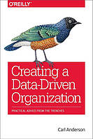 Creating a Data-Driven Organization: Practical Advice from the Trenches 1st Edition