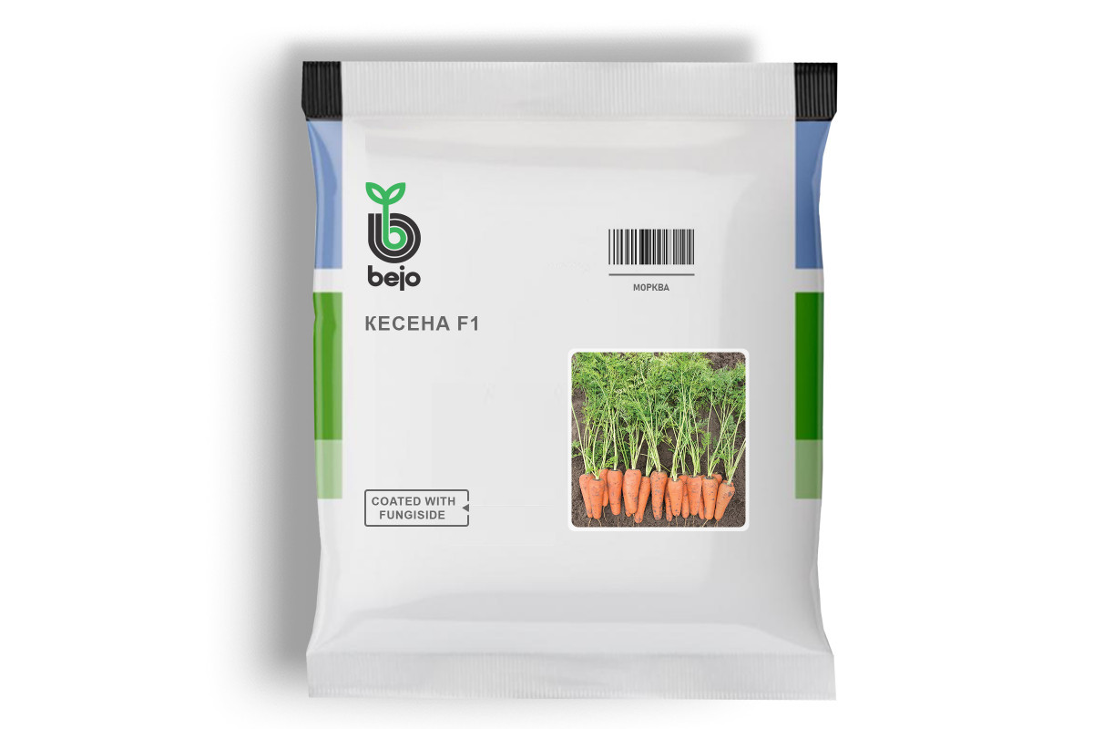 Насіння моркви КІСЕНА 100000 нвсінин (фр. 1,8-2,0мм) тип Шантане