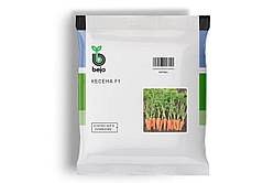 Насіння моркви КЕСЕНА 100000 нвсінин (фр. 1,8-2,0мм) тип Шантане