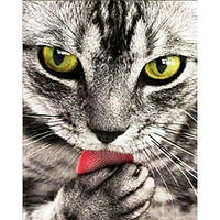Набір для творчості алмазна картина Сіренький котик Strateg розміром 30х40 см кв (HEG86038) [tsi230161-ТCІ]