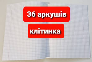 Зошит 36 аркушів КЛІТИНКА