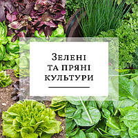 Вагове насіння зелених та пряних культур