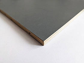 Фанера ламінована 12 мм гладка гладка Сіра 1250х2500 мм Латвія