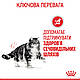 Акція! Сухий та вологий корм для кішок Royal Canin Urinary 2 кг + 85 гр х 12 шт + годівниця в подарунок!, фото 9