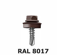 Саморіз покрівельний по металу 4,8x19 мм ( 250 шт) RAL 8017 RAL