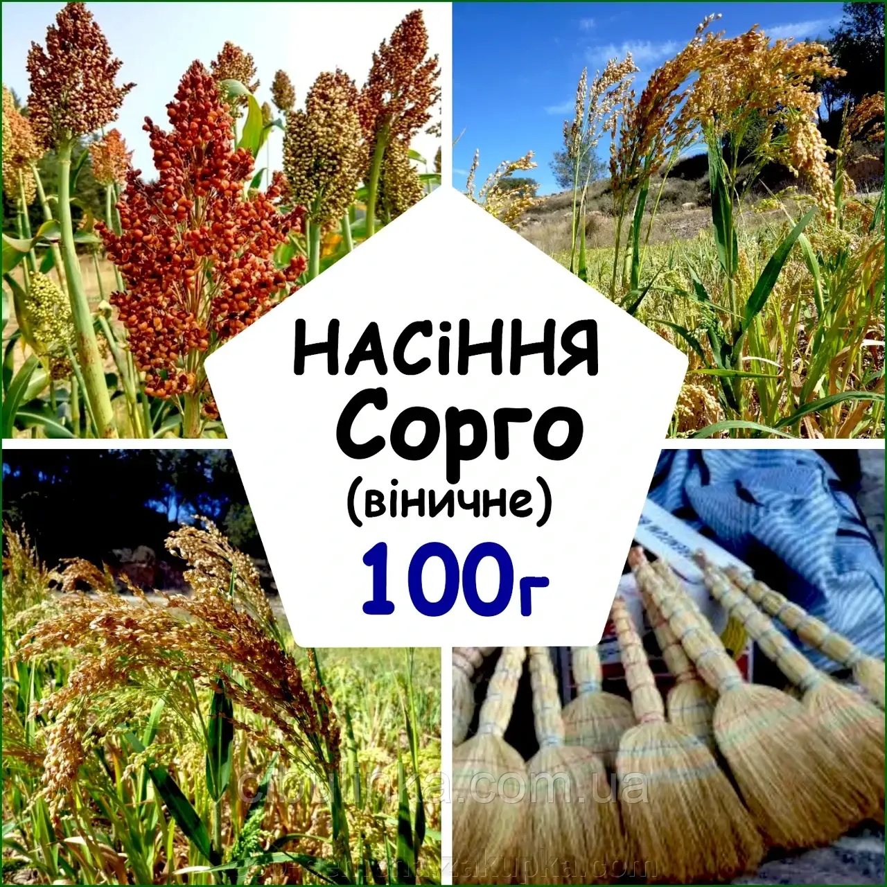 Насіння  Сорго віничне Карликове 100 г
