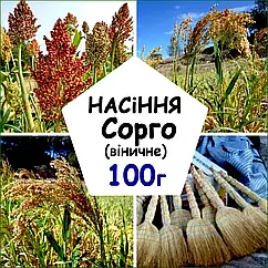 Насіння  Сорго віничне Карликове 100 г