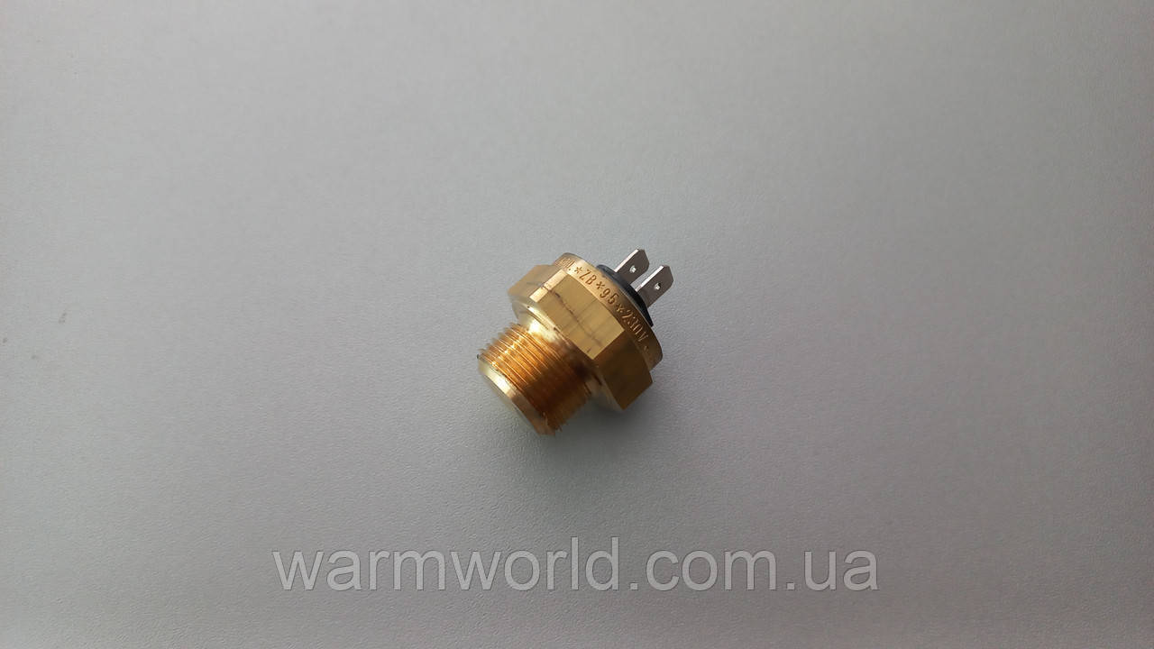 S0052 Термостат для насоса містить 1/2" 70 °C DC100 Atmos