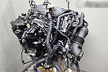 Двигун Ford Kuga II 2.0 TDCi, 2013-today тип мотора UFMA, фото 2