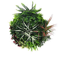 Фітокартина Engard "Галактика", 50 см (FP-49)