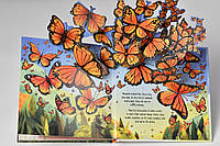 POP UP книга Бабочки с объемными разворотами