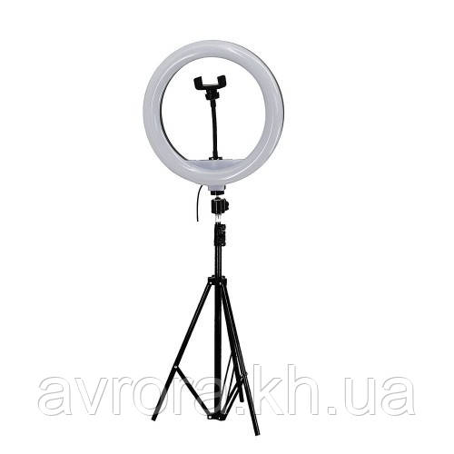 Кільцева LED лампа YQ-320B з утримувачем для телефону + штатив (діаметр 30 см), фото 1
