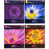 Тетрадь школьная цветная 60 листов, клетка «Мрії збуваються» / зошит 60 аркушів в клітинку / 3420