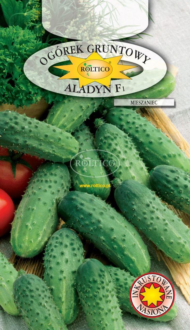 Насіння огірка Аладін F1 5г (інкруст.) ТМ ROLTICO