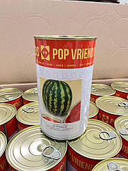 Насіння кавуна АУ Продюсер (AU Producer) Pop Vriend Seeds (Hazera) 0,5кг