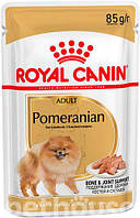 Упаковка вологого корму ROYAL CANIN POMERANIAN ADULT для собак породи померанський шпіц 12 шт по 85 г