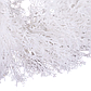 Декоративний вінок з штучної засніженої туї білий пишний 30 см, фото 2