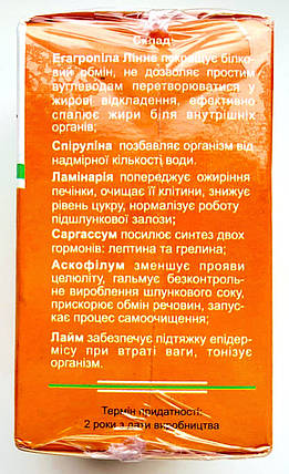 Real Slim - шипучі таблетки для схуднення 20 шт (Реал Слім), фото 3