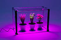 Міні-теплиця для кімнатних рослин Metaplant Sezam L Uno Bicolor