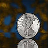 Срібна монета "Свобода України" Liberty of Ukraine, фото 6