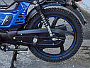 Мопед ДЕЛЬТА 110 куб. SPARK SP125C-1CFN СИНІЙ, з безкоштовною доставка, фото 11