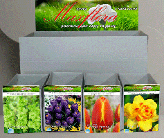 Дрібний гурт