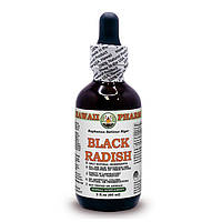 Hawaii Pharm Black Radish Alcohol-FREE Liquid Extract / Экстракт черной редьки без спирта 60 мл