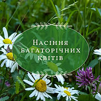 Багаторічні квіти