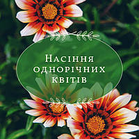 Однорічні квіти