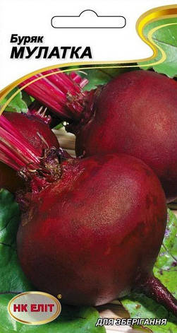 Насіння буряка Мулатка НК-ЕЛІТ, 3 г, фото 1
