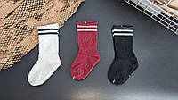 Набір дитячих однотонних шкарпеток з 3 пар із принтом "Дві смужки" високі ZYZ, 3 пари, 12-15 см (1-2 роки)