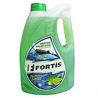 Fortis Winter Screen Wash Lime -20°С, 5 л (0038952) омыватель стекла