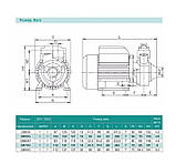 Поверхневий насос Shimge QB 80 - 22818, фото 3