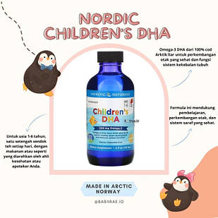 Nordic Naturals, ДГК для дітей, полуниця, для дітей 1-6 років, 530 мг, 119 мл (4 рідкі унції)