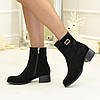 Замшеві черевики жіночі на стійкому підборі. Колір чорний, фото 4