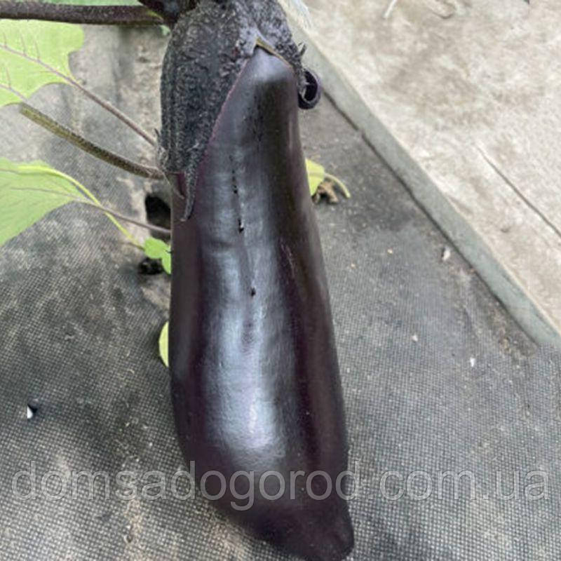 Баклажан Lark seeds Ден F1 100 насінин