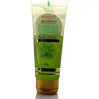 Гель для вмивання Саундарья Патанджалі Нім і Туласі, Saundarya Neem & Tulsi Face Wash, 60г