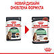 Вологий корм Royal Canin Digestive Sensitive для кішок для здорового травлення 85 гр 12 шт., фото 4