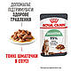 Вологий корм Royal Canin Digestive Sensitive для кішок для здорового травлення 85 гр 12 шт., фото 5