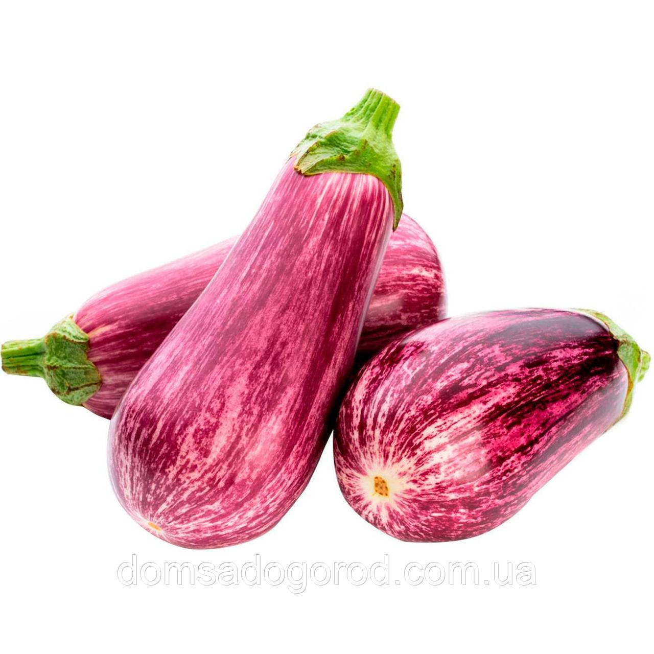 Баклажан CORA seeds (EGGPLANT) CRX 50141 F1 100 насінин