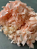 Гортензія стабілізована рожево-персикова на короткому стеблі, фото 3