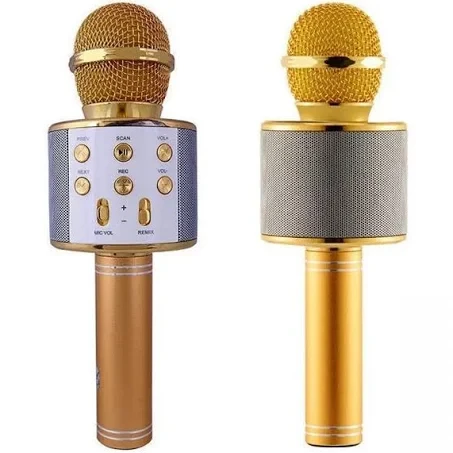 Караоке для домашнього використання WS-858 Портативне караоке для дітей Bluetooth USB-мікрофон Золотий, фото 1